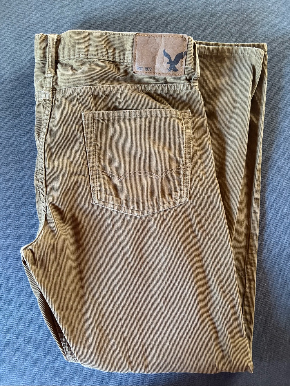 American Eagle Outfitters Men's Corduroy Pants in Tan